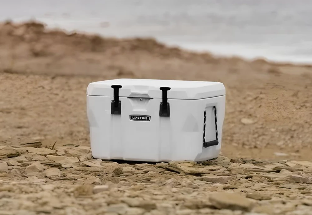 portable car cooler box