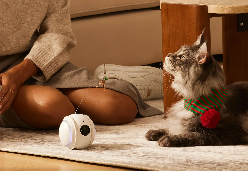 camera to see pets at home