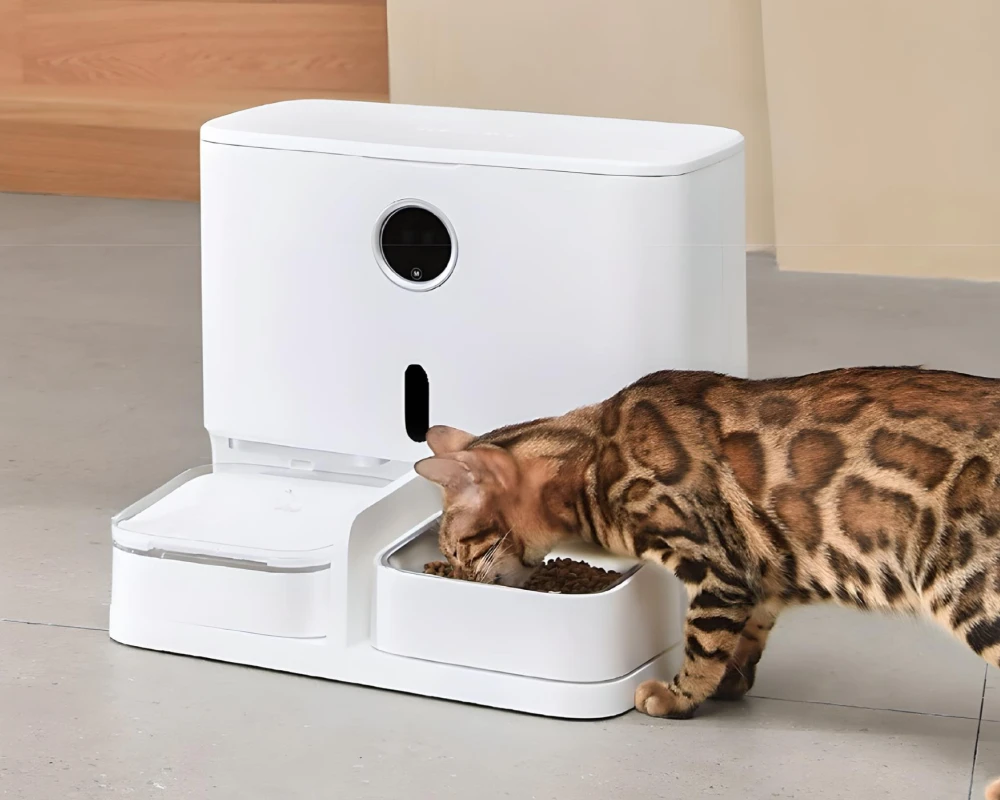 small automatic pet feeder