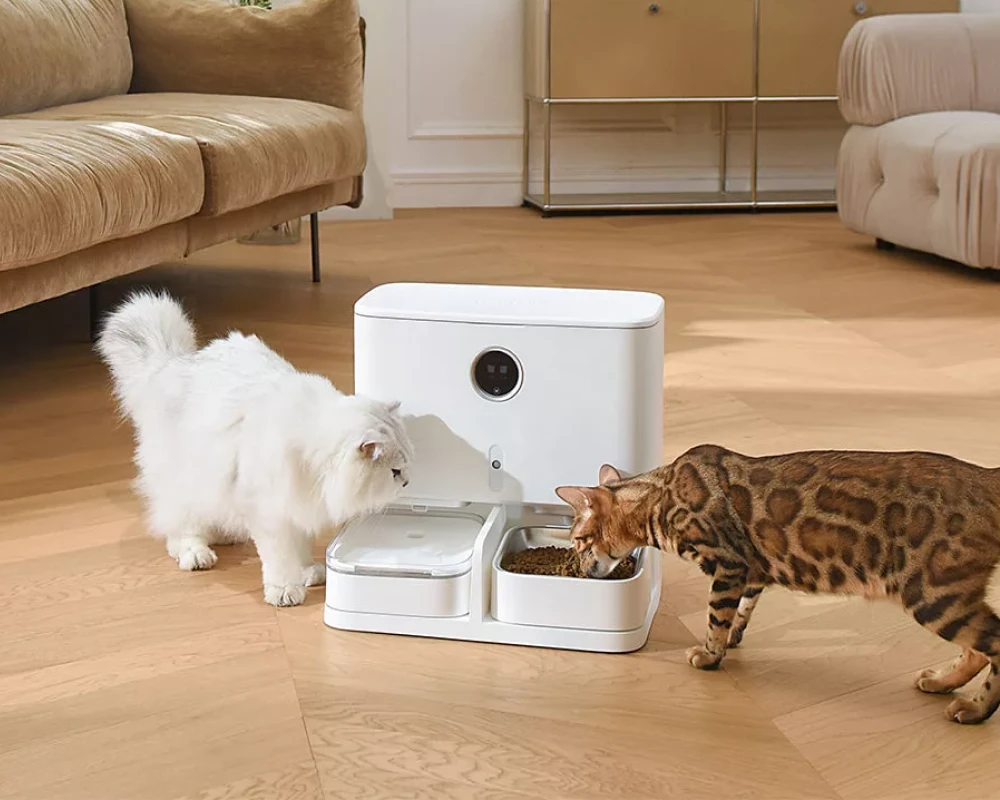 automatic dog feeder with camera