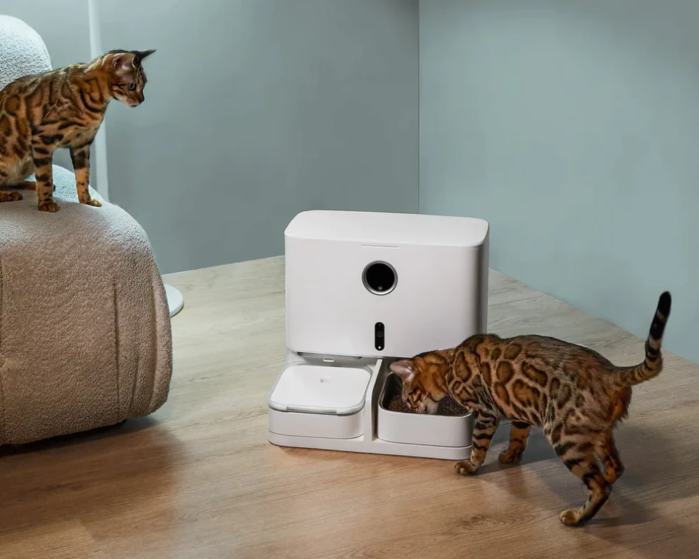 automatic pet feeder multiple cats